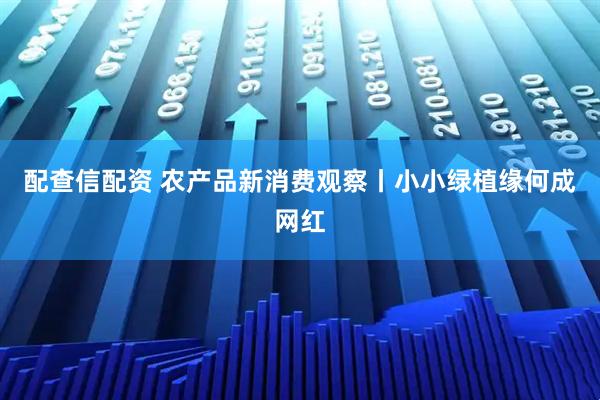 配查信配资 农产品新消费观察丨小小绿植缘何成网红