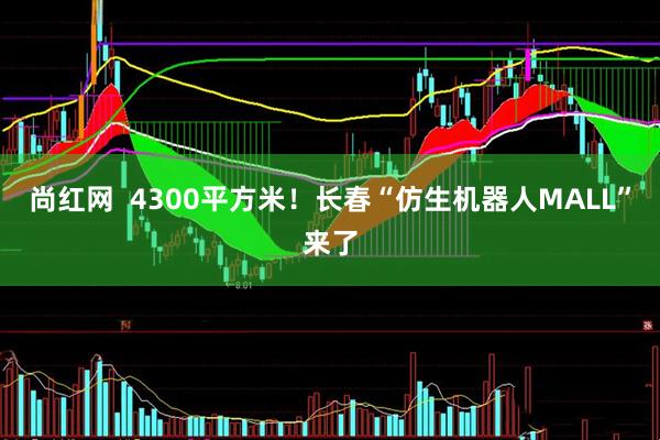 尚红网  4300平方米！长春“仿生机器人MALL”来了