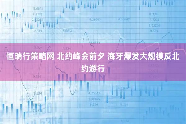 恒瑞行策略网 北约峰会前夕 海牙爆发大规模反北约游行