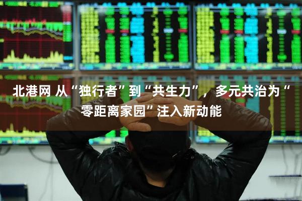 北港网 从“独行者”到“共生力”，多元共治为“零距离家园”注入新动能