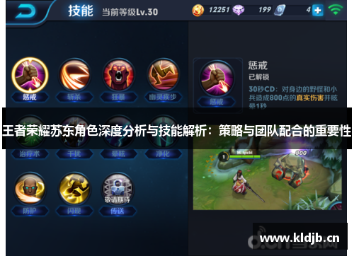 王者荣耀苏东角色深度分析与技能解析：策略与团队配合的重要性