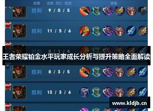 王者荣耀铂金水平玩家成长分析与提升策略全面解读