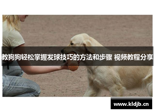 教狗狗轻松掌握发球技巧的方法和步骤 视频教程分享